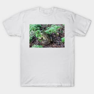 Frog T-Shirt